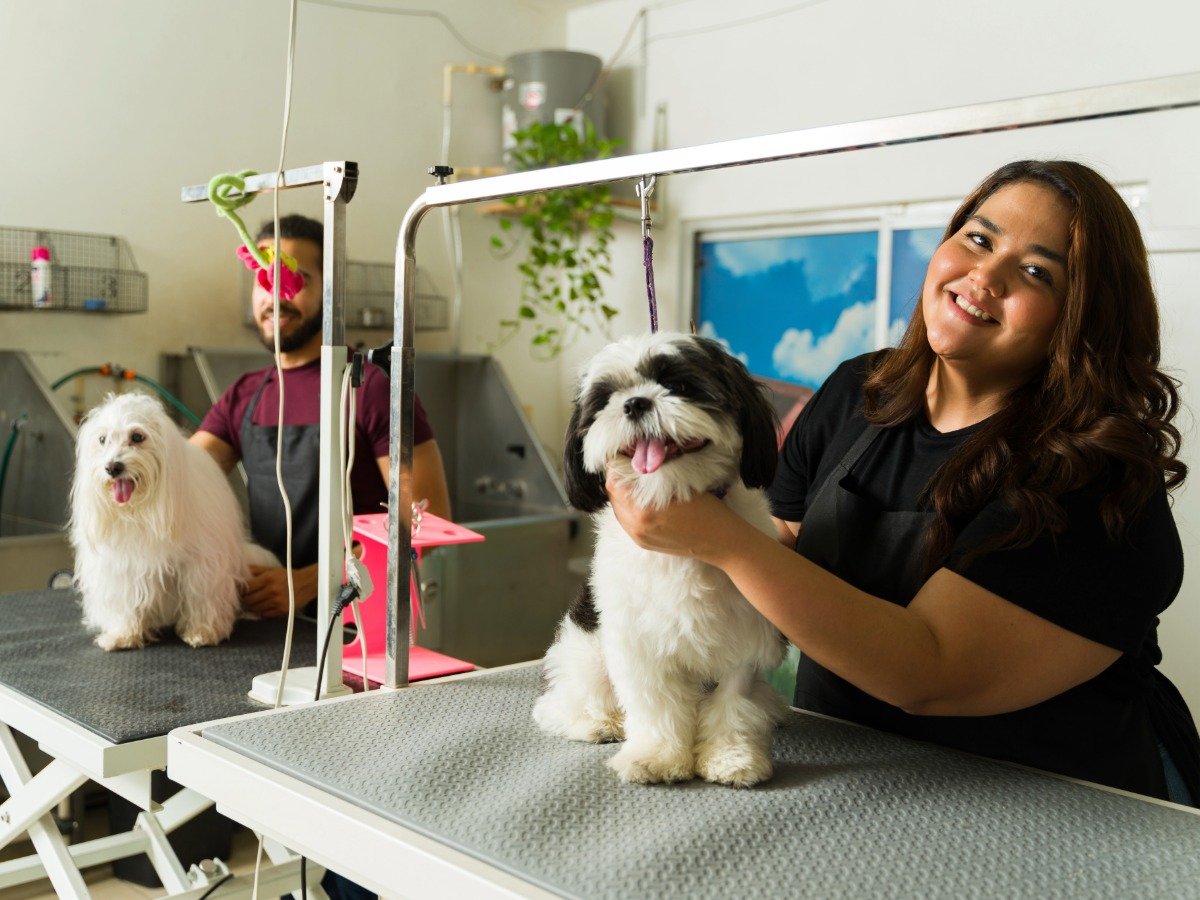 Pet grooming and scheduling