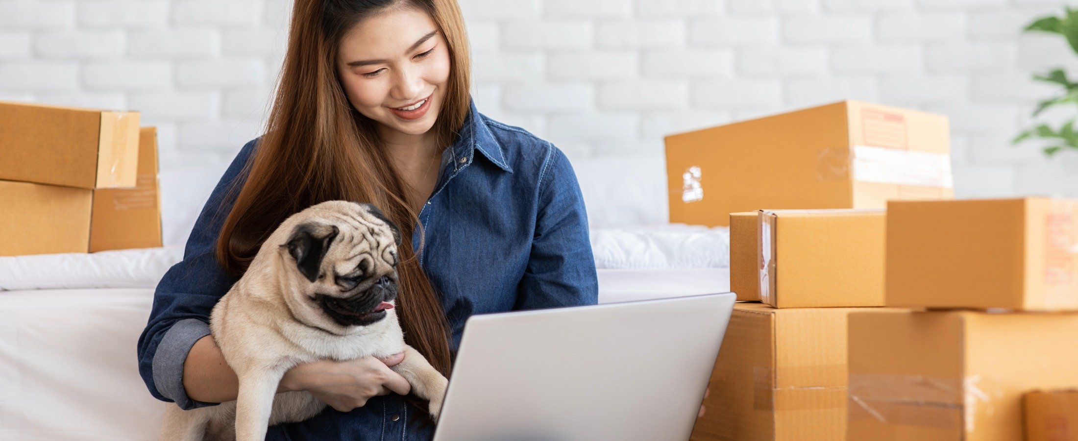 Growing Your Pet Store: 5 Tips for Long-Term Success
