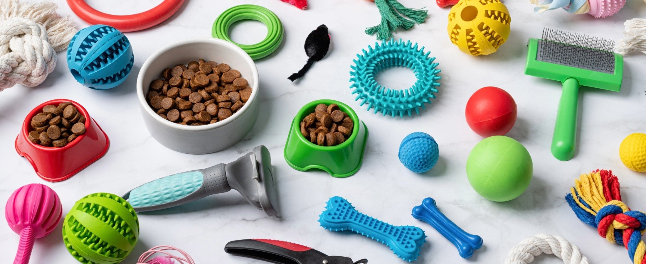 4 Pet Store Inventory Management Questions Every Owner Should Ask