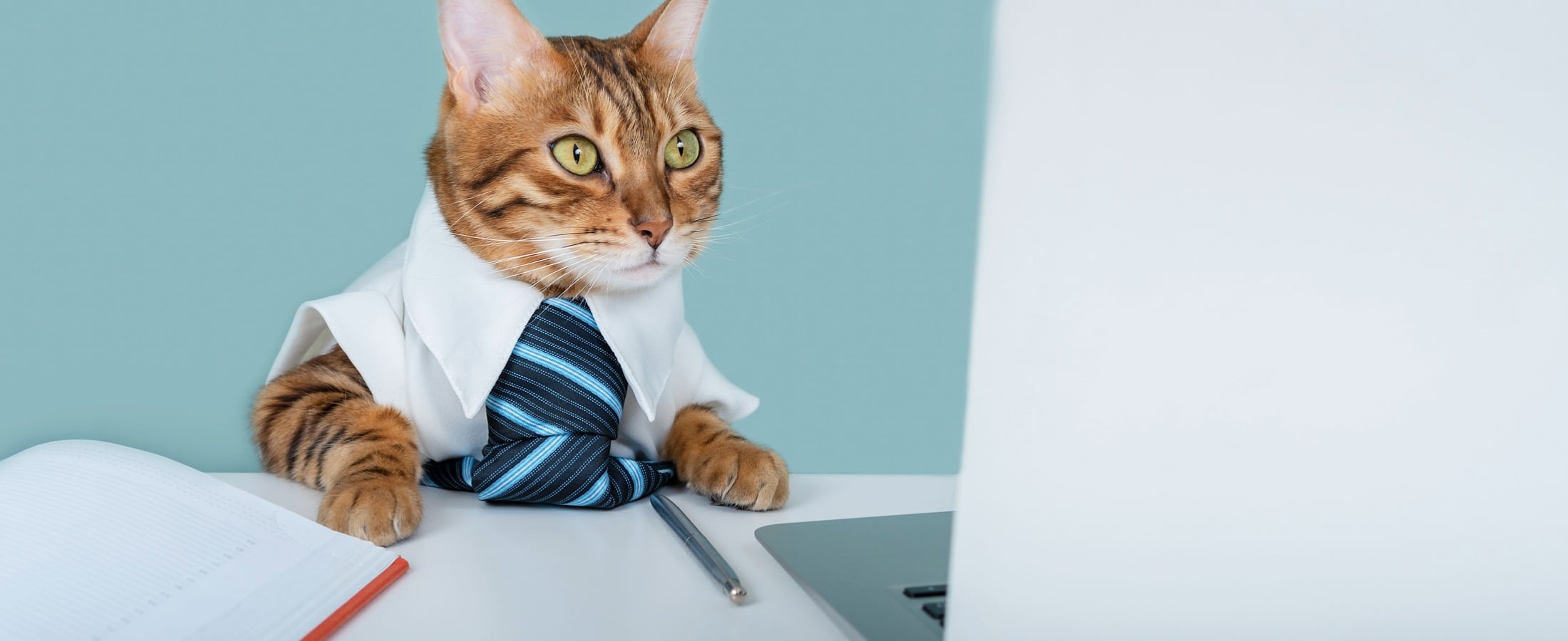 9 Signs Your Pet Store Software Integrations Can't Keep Up with Your Growth