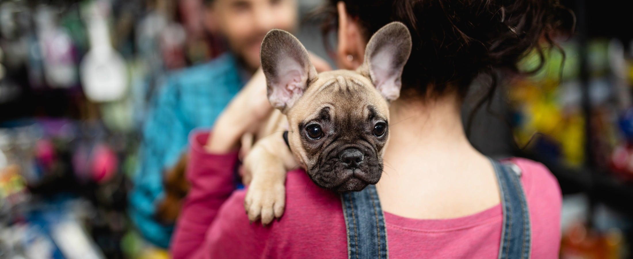 How to Tell When It's Time to Replace Your Pet Store POS System