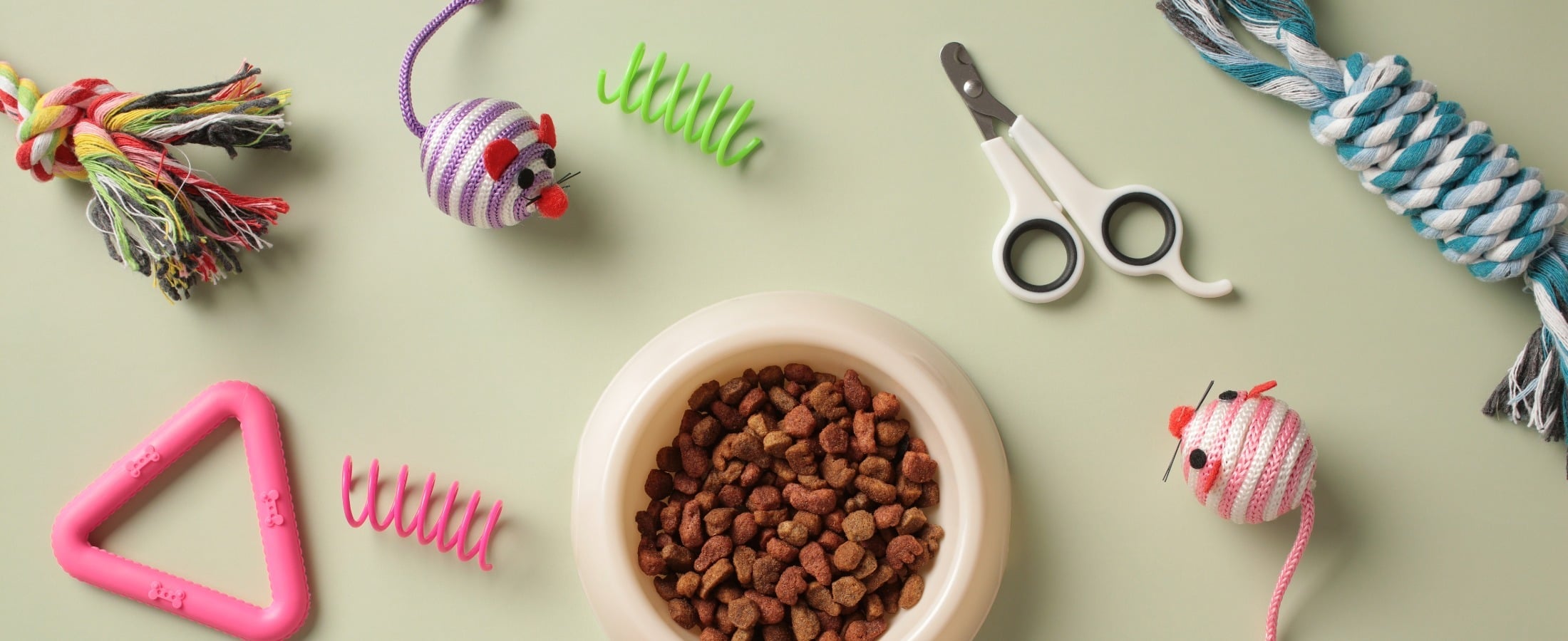 How Pet Retailers Are Growing and What It Means for Your Business
