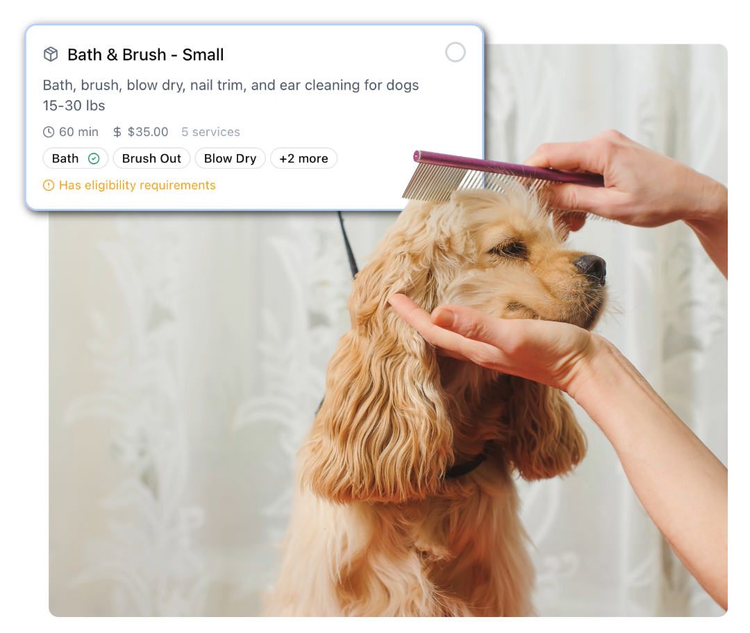 PetStack Services Hub appointment booking
