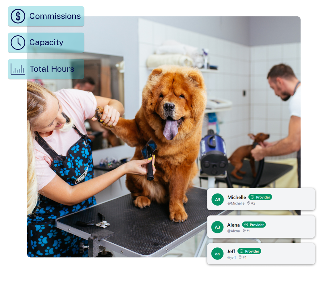 PetStack Services Hub staff management