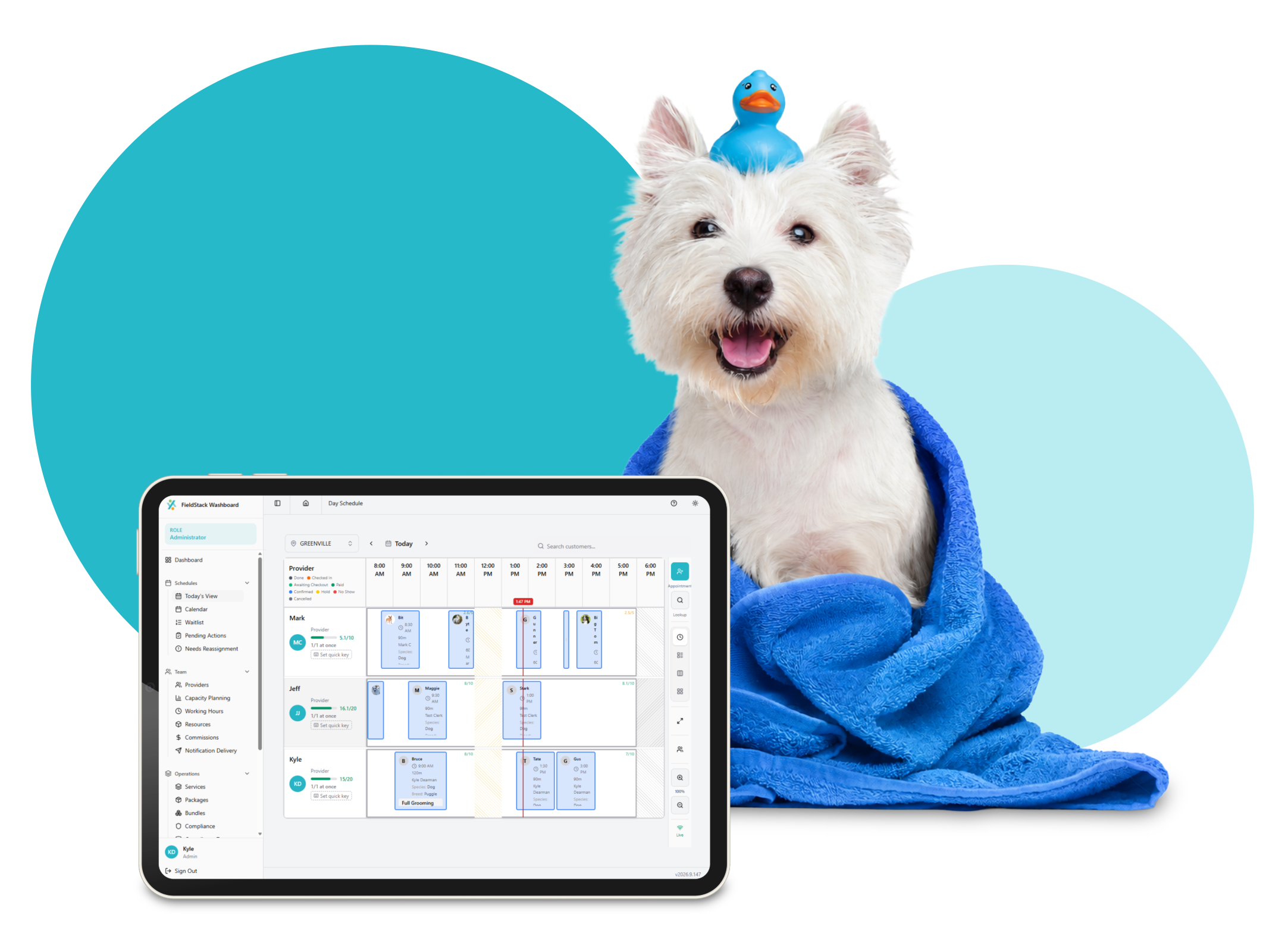 Washboard booking calendar in PetStack