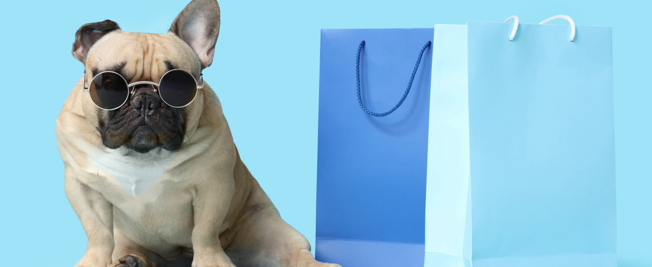 3 Smart eCommerce Moves for Pet Retailers