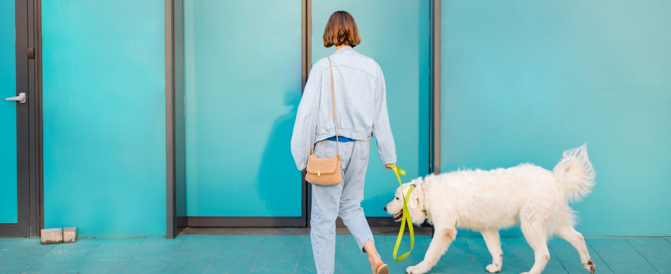 Why Mid-Sized Pet Retailers Need a Unified Commerce Platform to Compete