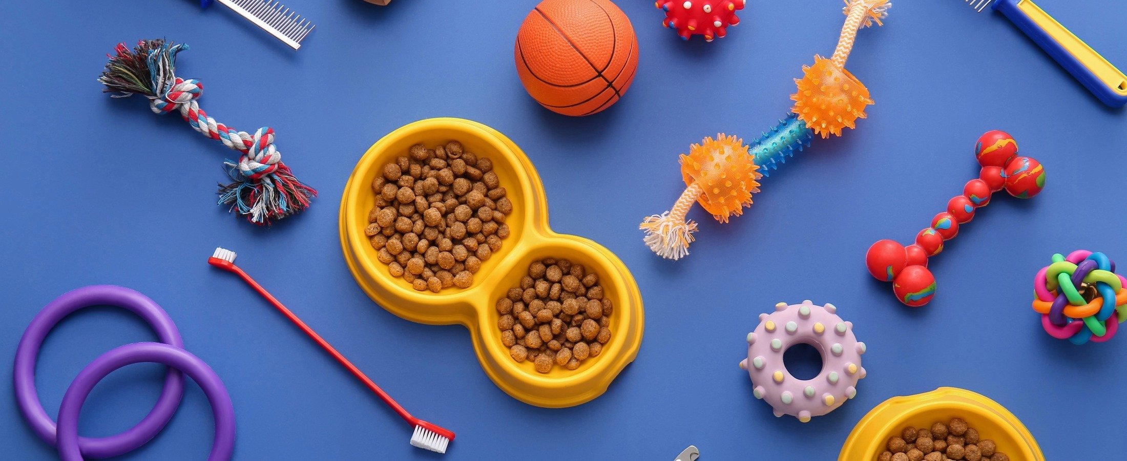 8 Pet Retail Trends Driving Success — From SuperZoo to Your Store