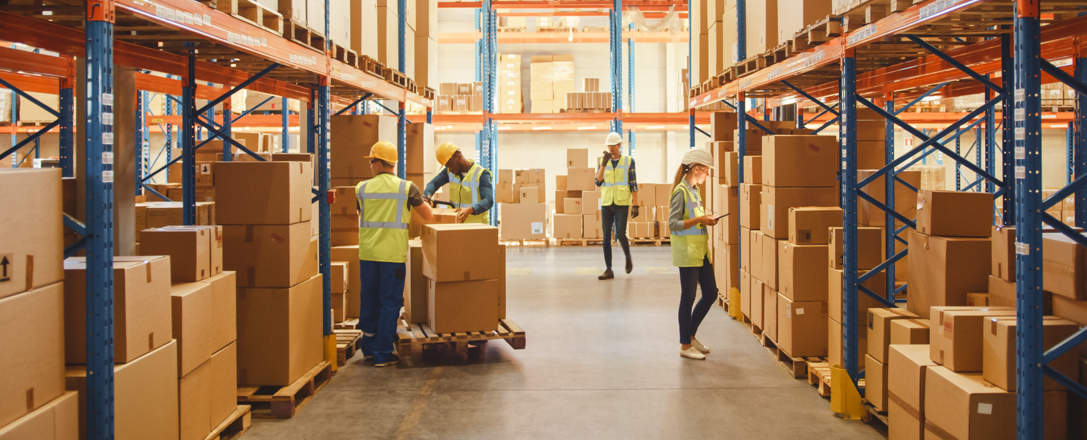 How to Boost Your Retail Profits with Automated Inventory Management